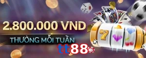 tt88